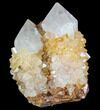 Sunshine Cactus Quartz Crystal Cluster - South Africa #80218-1